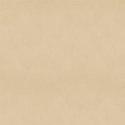 Corn Silk