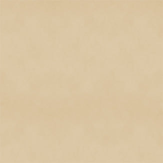 Corn Silk