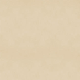 Aged Paper